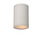 LUCIDE LUCIDE TUBIX - Spot Plafonnier Extérieur - Ø 10,8 cm - 1xE27 - Blanc