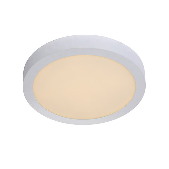 LUCIDE LUCIDE BRICE-LED - Dimmable Ceiling Light for Bathroom