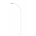 Fantasia Zonic floor lamp with flexible arm in black, LED 4.5W, 480 lumen, 3000K warm white, height 1400mm