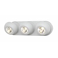Fantasia OLEO ceiling spot LED 3x7W dimmable 3000K black, 3x780 lumens, 390x110x90mm, IP20