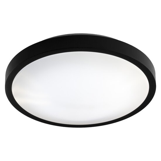 Fantasia OXY round ceiling lamp in silver metal, adjustable CCT 3000-6000K, 12W integrated LED, Ø 300 mm