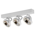 Fantasia Pulse-2 black ceiling lamp, 2 adjustable AR111 LED spots 12W 2700K 1386 lumens, dimmable, IP20