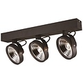 Fantasia Pulse-2 black ceiling lamp, 2 adjustable AR111 LED spots 12W 2700K 1386 lumens, dimmable, IP20