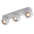Fantasia Triton ceiling lamp with 3 adjustable spots, white, aluminium, GU10 socket (bulb not included)
