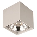 Fantasia Plafonnier carré Fantasia BOX-1L avec 1 spot LED AR110 dimmable de 12 watts, blanc