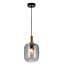 Fantasia Lámpara colgante Okiru con portalámparas E27, marco de acero negro y pantalla de cristal gris ceniza Ø180mm, 1 punto de luz, IP20