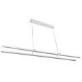 Fantasia Fantasia Lino LED Pendelleuchte - 2x24W, 3290 Lumen, 3000K warmweiß, dimmbar, Aluminium, IP20, Energieklasse F