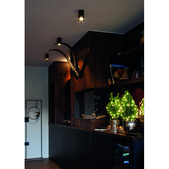 Fantasia Fantasia Zolan ceiling spot in black and gold, aluminium, height 110 mm, GU10 socket, dimmable, includes 5W LED
