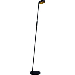 Fantasia Bora LED lámpara de pie negro/oro, 12,5W, 160 cm