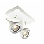 Fantasia Fantasia Ziva plafondlamp wit aluminium, 2x GU10 LED 4,5W, dimbaar en richtbaar, 2800K