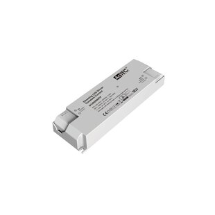 Driver LED Fantasia triac dimmable 50 Watt 1200mA sortie