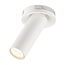 Fantasia Fantasia ZOOM Lopal-insert wit met ingebouwde LED-lichtbron 4,5W - vervangonderdeel voor ZOOM hanglamp
