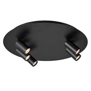 Fantasia ORYX lámpara de techo redonda 5 luces, Ø450 mm, negro