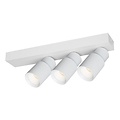 Fantasia Fantasia NYSAL Witte Plafondspot RL met 3 Lichtpunten - Model uit de Premium Collectie