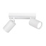 Fantasia Fantasia Inaki surface-mounted spot with 2 light points in white, excl. light source