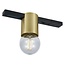 Fantasia Fantasia BABU track spot for single-phase track systems, E27 socket, light source not included, brushed gold finish