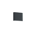 Trio Lighting Thames, petite applique d'extérieure sobre en anthracite, LED 2x2,5W intégrée, 3000K blanc chaud, IP54