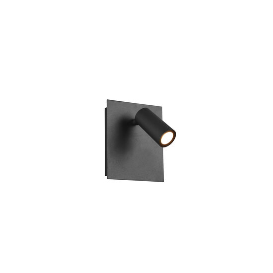 Tunga applique d'extérieur orientable LED 4W 3000K anthracite, 420 lumens, IP54, aluminium moulé, 13 x 16 cm