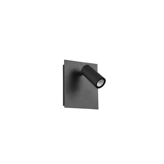 Tunga adjustable outdoor wall light LED 4W 3000K anthracite, 420 lumen, IP54, cast aluminium, 13 x 16 cm