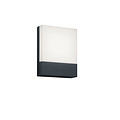 Pecos flache Außenwandleuchte, LED 6W, 3000K warmweiß, 600 Lumen, anthrazit, IP54, Aluminiumguss