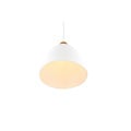 Lámpara colgante Jagger, blanco mate, metal, portalámparas E27 (bombilla no incluida), 150 cm de alto, diámetro 25 cm, IP20