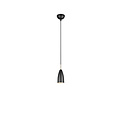 Farin suspension 1xE14 noir mat, armature métallique, hauteur 150 cm, diamètre 10 cm, max. 25W, IP20, ampoule non incluse