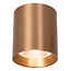 LUCIDE Lucide STRAXX - Plafondspot - Ø 8 cm - LED Dimb. - CCT - 1x15W 2700K/4000K - Champagne kleur - Premium