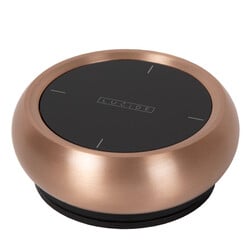 Lucide Premium LINIAL REMOTE - Afstandsbediening - 1-fase Railsysteem / Railverlichting - Smart - 48V Track - Champagne