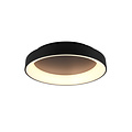 Trio Lighting Lámpara de techo multifuncional redonda negra mate LED 48W 2600-6000K - Crea la atmósfera perfecta en cualquier espacio