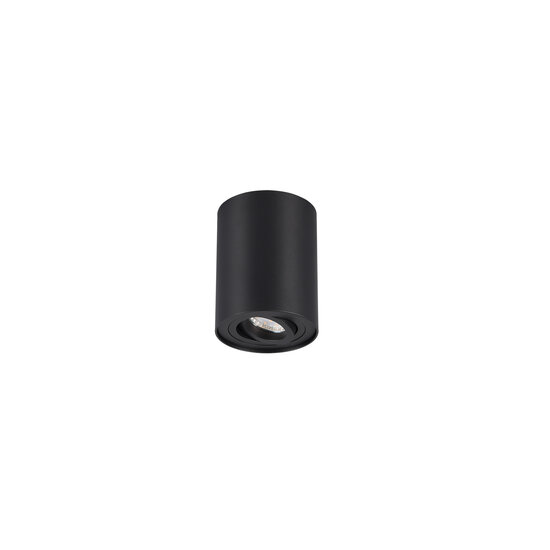 Trio Lighting Spot plafond rond orientable noir mat 1xGU10 - Éclairage idéal pour chaque espace
