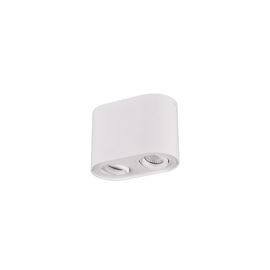 Trio Lighting Ronde richtbare duo plafondspot 2xGU10 mat wit - Perfecte verlichting voor elke ruimte