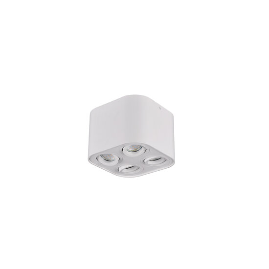 Trio Lighting Foco de techo cuadrante redondo orientable 4xGU10 blanco mate - Ideal para crear un ambiente acogedor en cualquier habitación