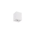 Trio Lighting Strakke draaibare single plafondspot 1xGU10 wit - Perfect voor moderne ruimtes