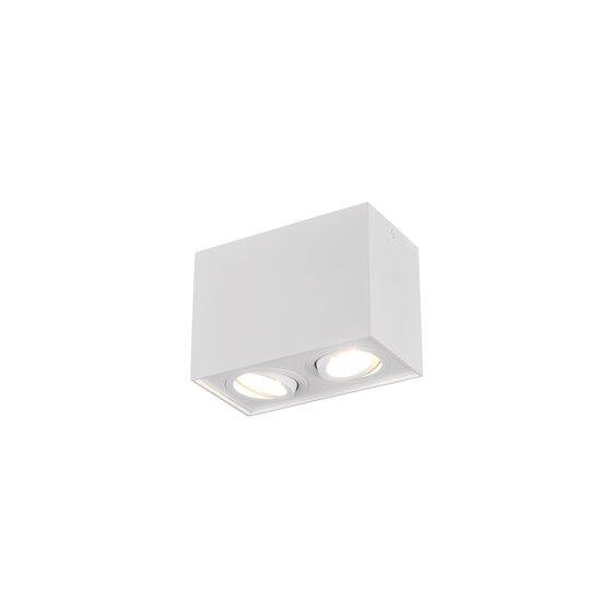 Trio Lighting Aplique de techo dúo ajustable GU10 blanco elegante - Ideal para una iluminación estilosa en cualquier habitación