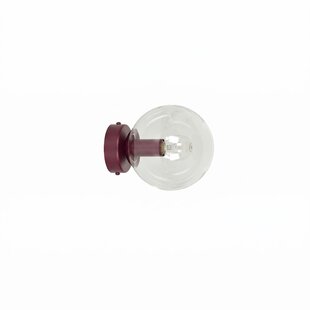 MAGNUS K1 BURGUND TRANSPARENT