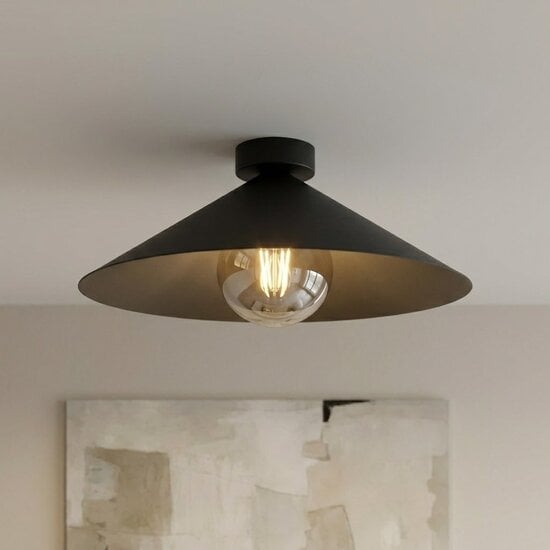 Emibig Emibig MONO 1M PLAFON BL GRAFIT - Lampe de plafond moderne pour un éclairage élégant