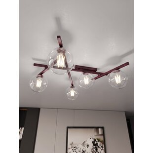 SMART 5 BURGUNDY TRANSPARENT