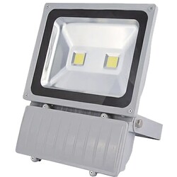Fantasia Beamer Projector Light 2x40W Led
