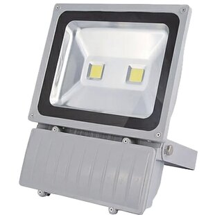 Fantasia Beamer Projector Light 2x40W Led