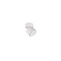 Trio Lighting Spot de plafond encastré/superficiel blanc mat 1x5W 3000K - Idéal pour les intérieurs modernes