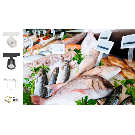 Hyrwell Éclairage sur rail pour poissons et fruits de mer 36 Watt 7000 Kelvin - Éclairage idéal pour la fraîcheur et la présentation