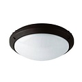 Round outdoor ceiling and wall light, white thermoplastic, 270mm diameter, IP65 and IK10, E27 fitting, 220V