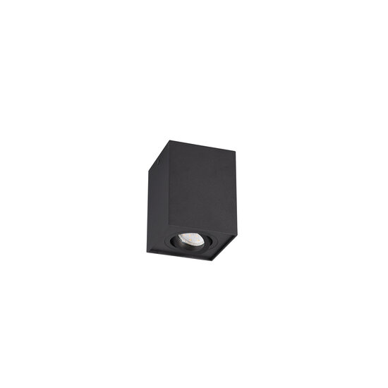 Trio Lighting Spot de techo único rotativo negro mate 1xGU10 - Ideal para interiores modernos