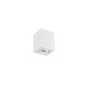 Trio Lighting Strakke draaibare single plafondspot 1xGU10 wit - Perfect voor moderne ruimtes