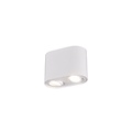 Trio Lighting Foco de techo dúo orientable redondo 2xGU10 blanco mate - Iluminación ideal para cualquier espacio