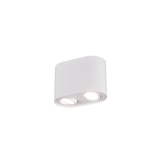 Trio Lighting Foco de techo dúo orientable redondo 2xGU10 blanco mate - Iluminación ideal para cualquier espacio
