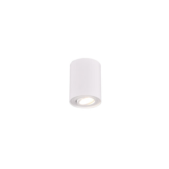 Trio Lighting Foco de techo único orientable redondo 1xGU10 blanco - Iluminación ideal para cualquier habitación