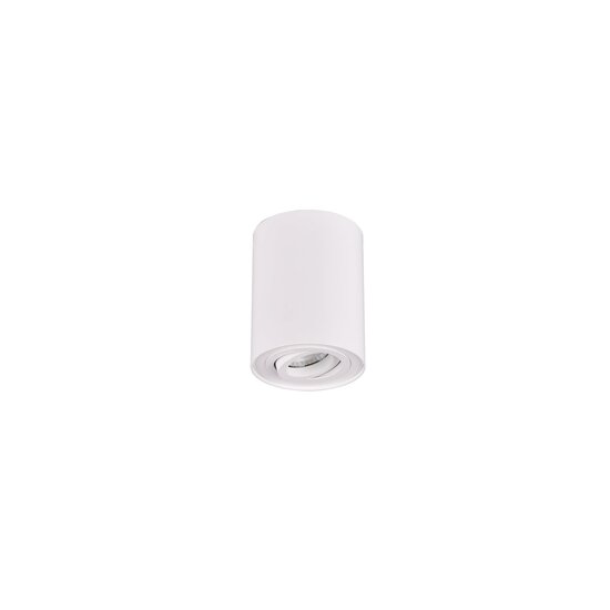 Trio Lighting Foco de techo único orientable redondo 1xGU10 blanco - Iluminación ideal para cualquier habitación