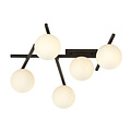 Emibig Emibig Lámpara de techo negra hermosa con 5 bombillas blancas E14 - Perfecta para interiores modernos