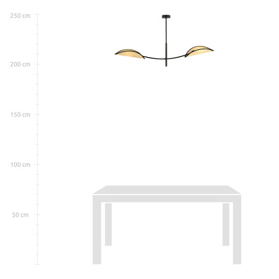 Emibig Emibig Black and rattan hanging lamp with 2 curved arms - Perfect for creating a cozy atmosphere